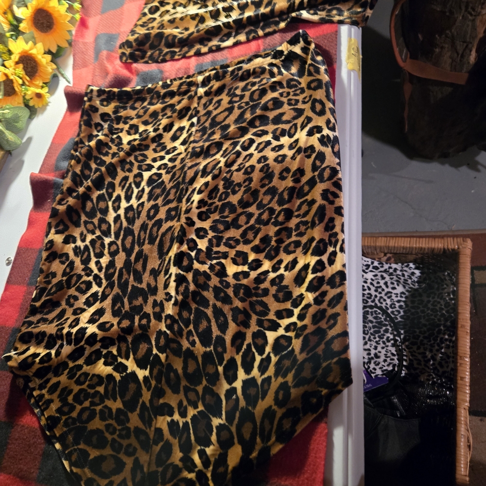 Leopard Print Skirt And Matching Longsleeve Shirt